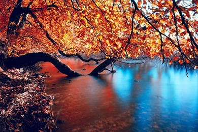 Wallpapers Tranquility Color Tattoo Hd Autumn Lake Full P .2 ...