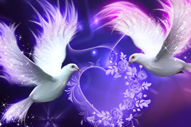 Dove Wallpapers   Wallpapers Cave