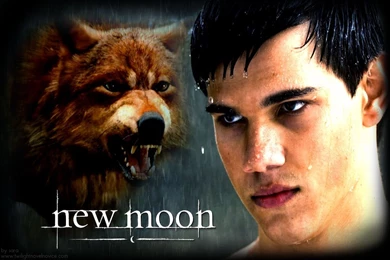 New Moon Wallpapers Jacob   Wallpapers Cave