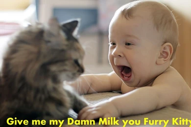 Funny Wallpapers For Kids