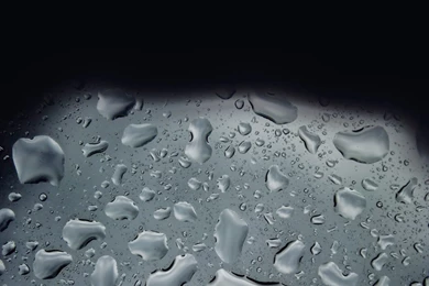 WALLPAPERS   Gothic, Skulls, Death, Fantasy, Erotic And Animals ...