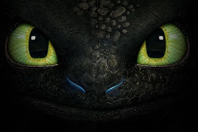 Toothless Wallpapers   Wallpapers Cave