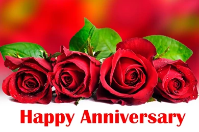 Happy Anniversary Red Roses Wallpapers