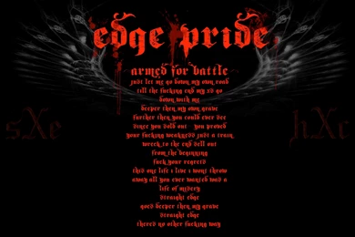 Wallpapers Straight Edge Sxe And Hardcore Message Board 2235x1397 ...