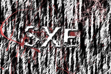 SXe Straightedge Backgrounds By Alexeyevich On DeviantArt