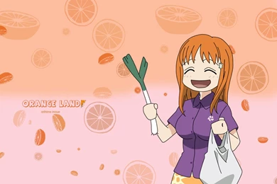 Orihime Wallpapers   Wallpapers Cave