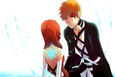 Inoue Orihime And Kurosaki Ichigo In Bleach Wallpapers For ...