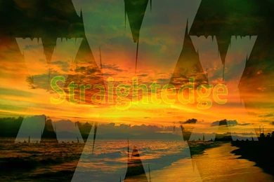 SXe Wallpapers By David Fisher By Triple H On DeviantArt