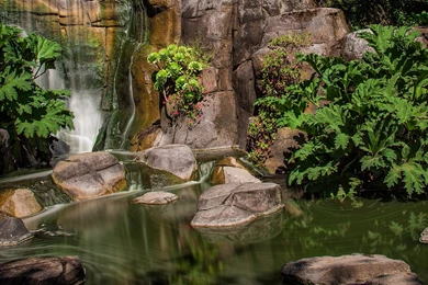 Beautiful Natural Beauty Photography HD Wallpapers ...