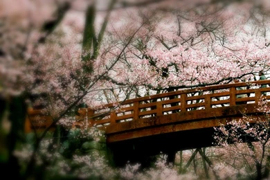 How To Edit Your Windows 7 Wallpapers   Dawn Renees Readers