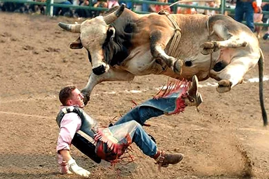 Download Amazing Free Funny Sports Wallpapers For Your Computer ...