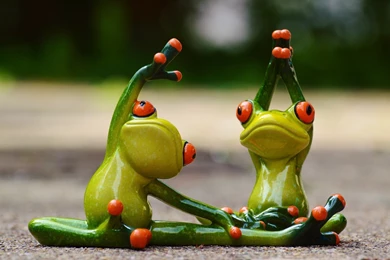 Frog Frog Frog Toys Figures Sports Yoga Gymnastics Funny Fitness ...