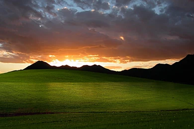 Fedora 15 Including Gnome Shell.