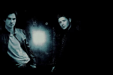 Dean/Damon   Dean And Damon Wallpapers (22077039)   Fanpop