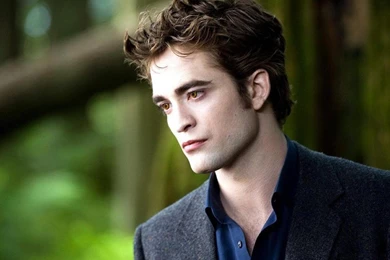 HANDSOME BOY WALLPAPER   (