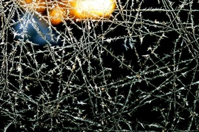 SuperHD.pics: Artwork Photo Shoot Trippy Desktop Bakcgrounds