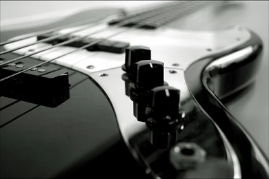 Bass Guitar Photography Images