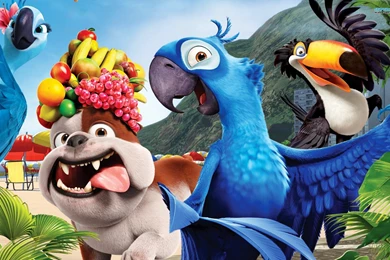29 Rio 2 Animation Movie Wallpapers