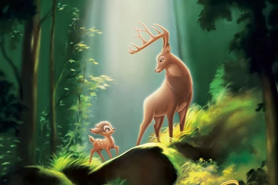 Bambi HD Wallpapers 1920x1080   Hebus.org   High Definition ...