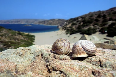 Computer Desktop Wallpapers Collection Wallpapers   600398