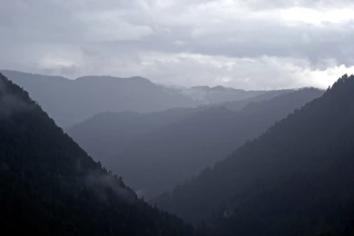 File:On A Rainy Day (2696692514).jpg   Wikimedia Commons