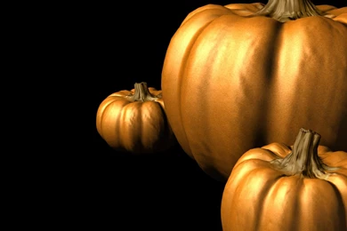 Pumpkin Vegetable Hd Wallpapers (