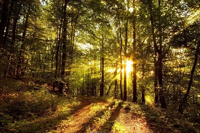 HD Wallpapers 1080P, 1920X1080, Full HD Wallpapers, 1920X1080 ...