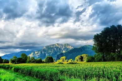 Beautiful Nature Hd Wallpapers 1080p Hd Wallpapers