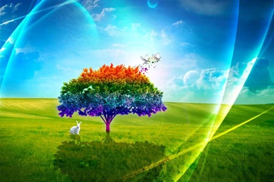 Best Wallpapers Sites 2010   Wallpapers HD Fine