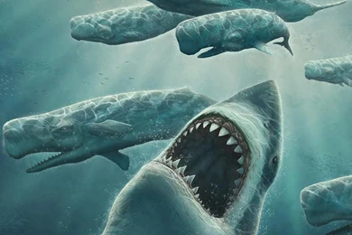 Megalodon Wallpaper.