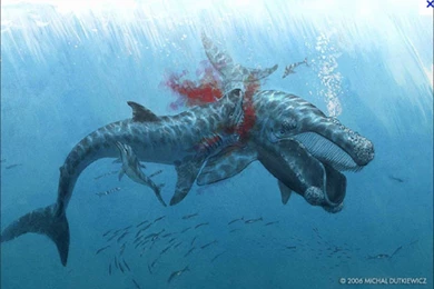 Megalodon Wallpapers