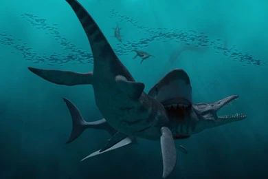 Wallpapers Digital Art > Wallpapers Nature Oceans, Beaches ...