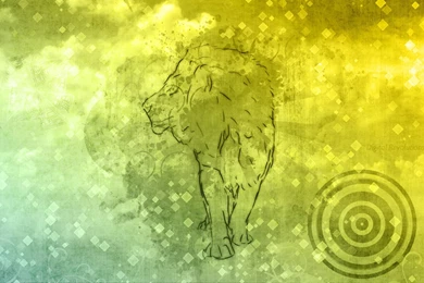Lion – Abstract Wallpapers