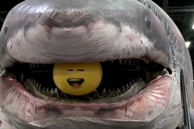 Megalodon Wallpapers