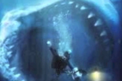 1 Of The Best Shark Pictures YouTube