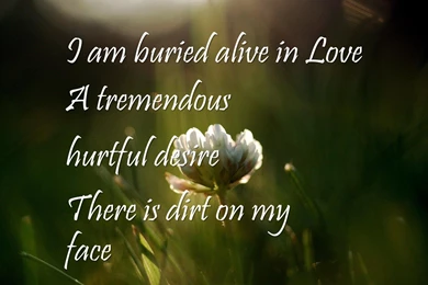 Where To Buy Love Hurts, True Love Quotes Wallpapers I Am Buried ...