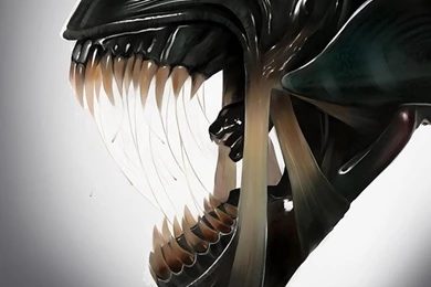 DownloadAwesome Iphone 5 Wallpapers