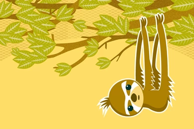 Top 10 Reasons I Love The Olympics – Qcait.com