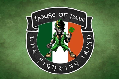 Fightingirish   DeviantArt