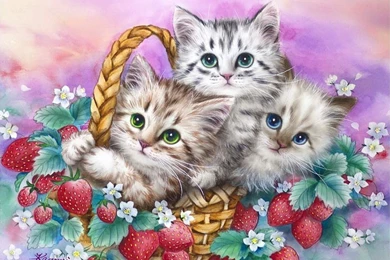 Cats Strawberry Basket Kittens Joy Cats Painting Friends Fluffy ...