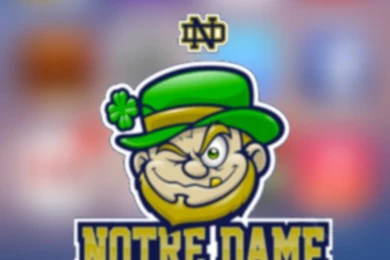 Notre Dame iPhone 5 Wallpapers (640x1136)