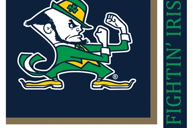 Irish Quotes Fight. QuotesGram