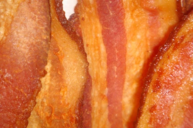 Bacon