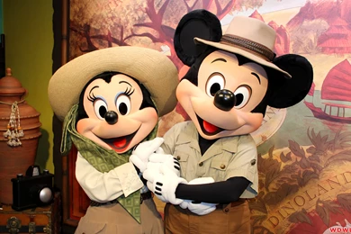 Minnie Mouse: Meet And Greet With Mickey And Minnie At Disney's ...