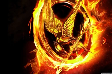 Wallpapers Imagenes De Movimiento Grasiosas Para Facebook ...