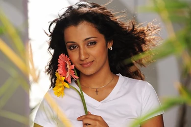 Wallpapers Trisha Movie Tamil Actress 1920x1080