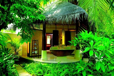 Forest House HD Wallpapers ~ Toptenpack.com