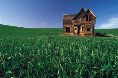 Pic New Posts: Wallpapers In House