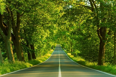 Sceneries Wallpapers For Desktop   Wallpapers Zone