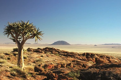 Nature Scenery Wallpapers   Best Wallpapers